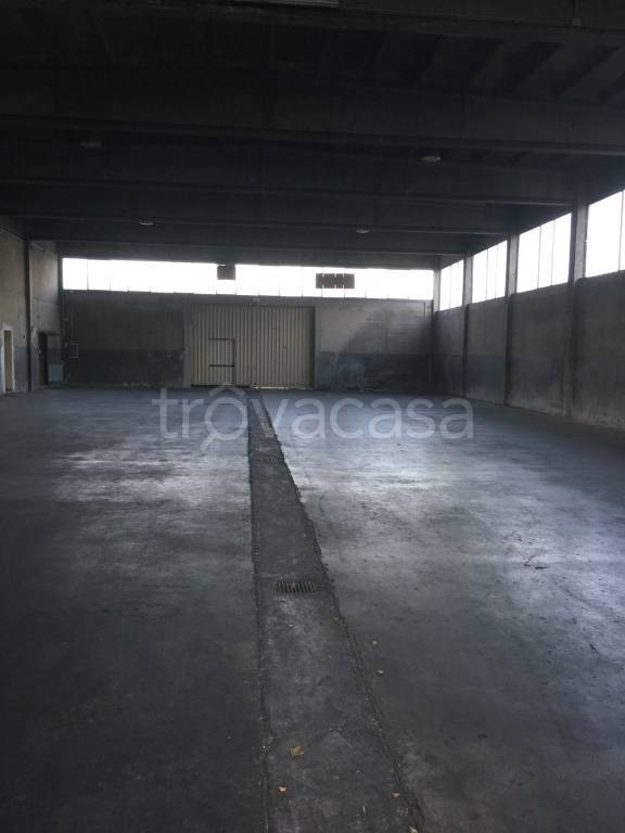 immagine annuncio 3 di 6