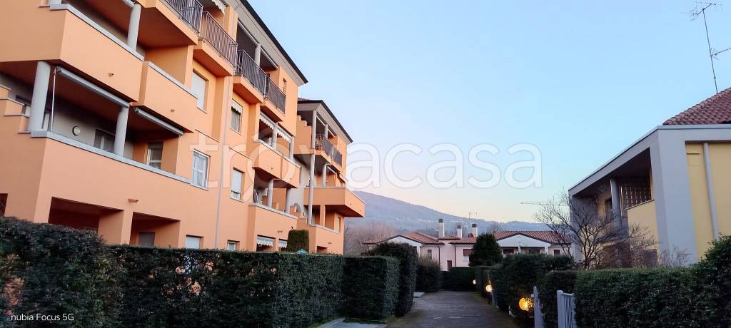 immagine annuncio 10 di 13