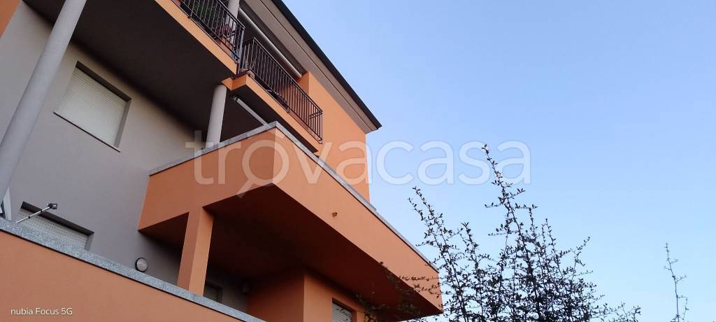 immagine annuncio 11 di 13