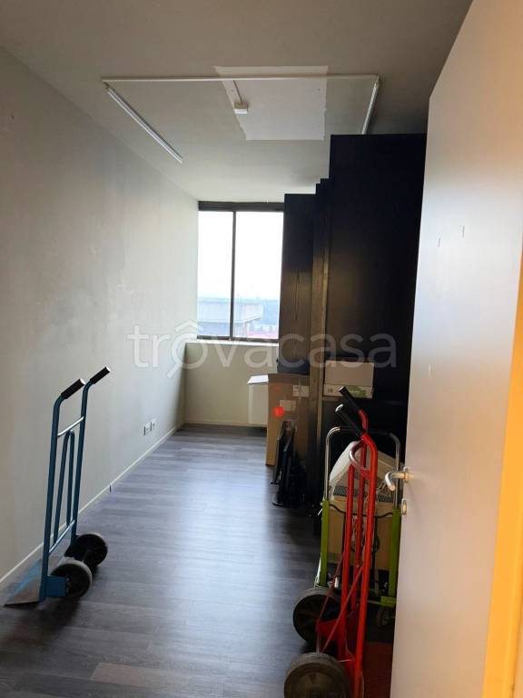 immagine annuncio 10 di 14