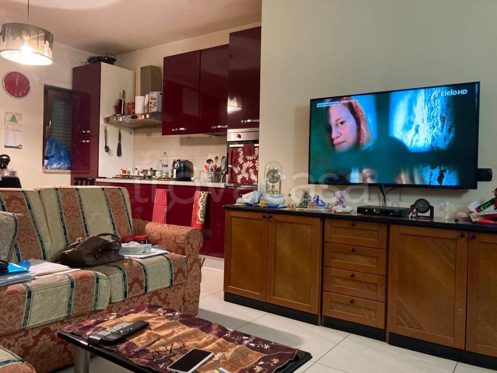 immagine annuncio 6 di 15