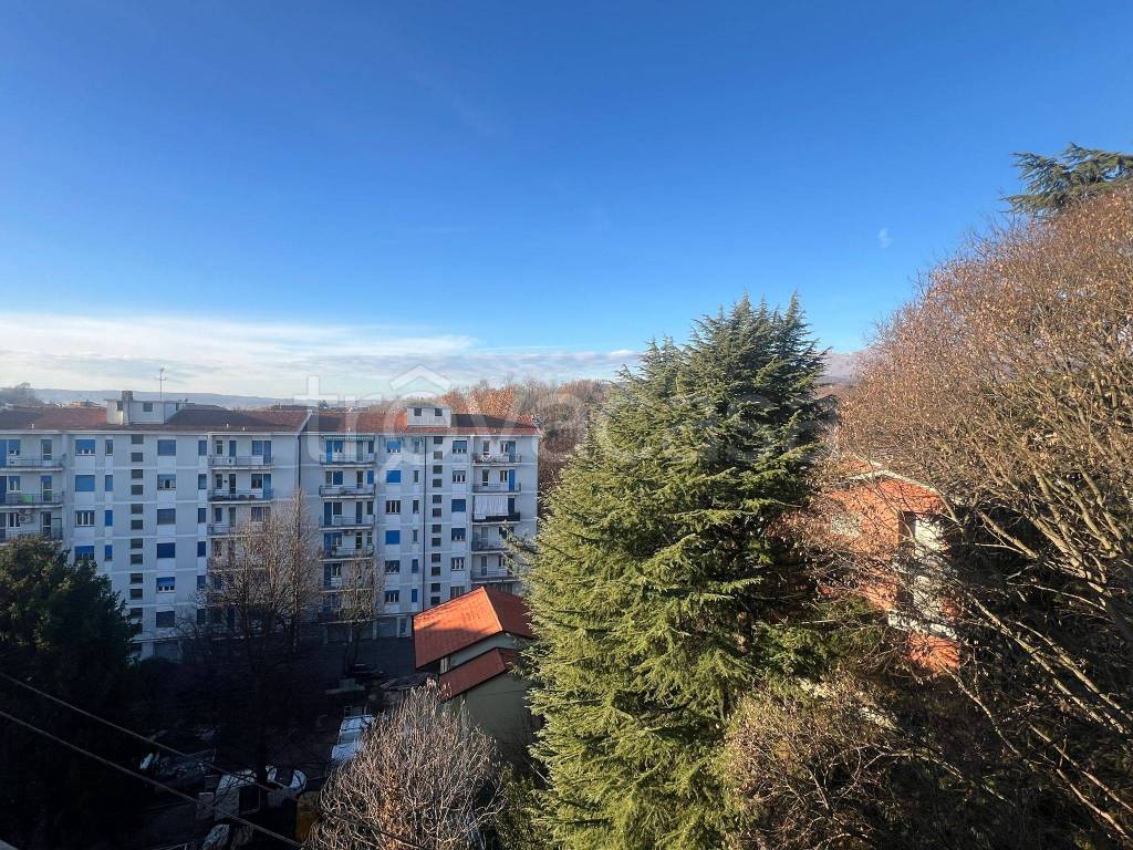 immagine annuncio 5 di 12