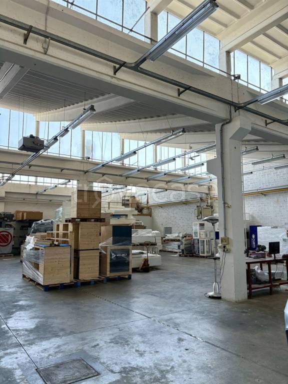 immagine annuncio 1 di 8