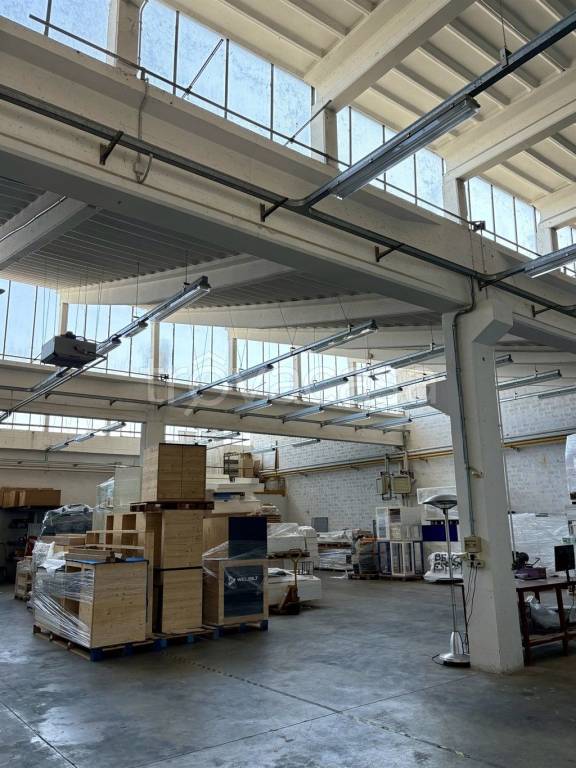 immagine annuncio 3 di 8