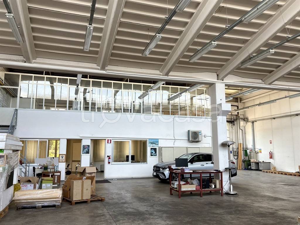 immagine annuncio 4 di 8