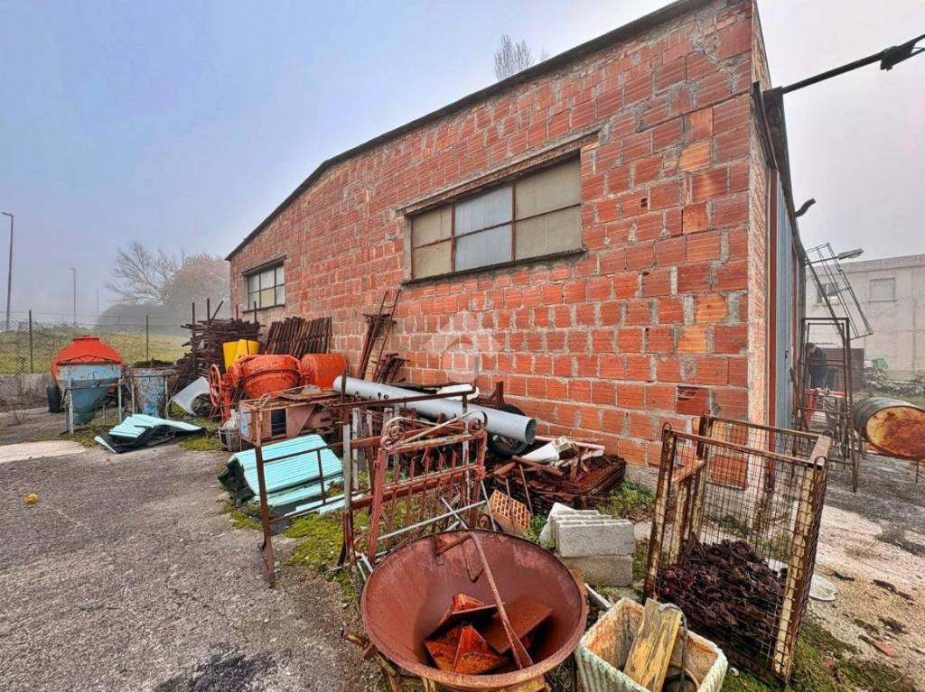 immagine annuncio 10 di 15