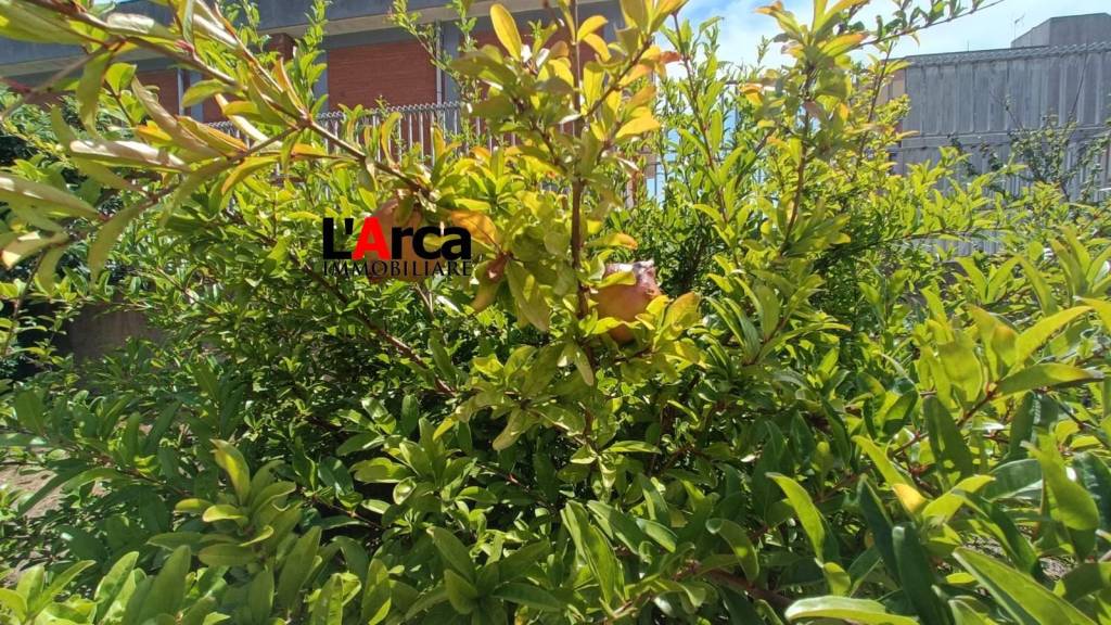 immagine annuncio 6 di 14