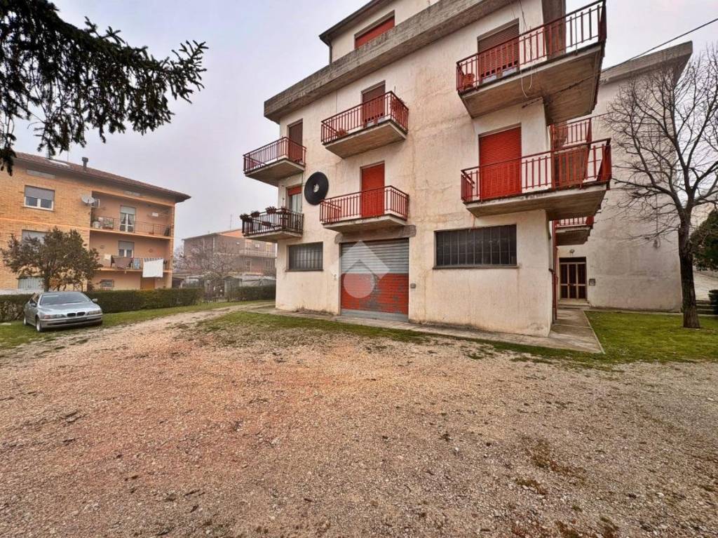 immagine annuncio 1 di 13