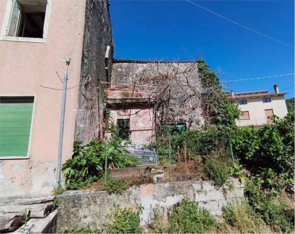 immagine annuncio 2 di 14