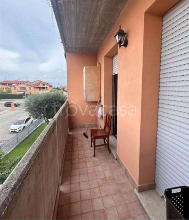 immagine annuncio 9 di 15