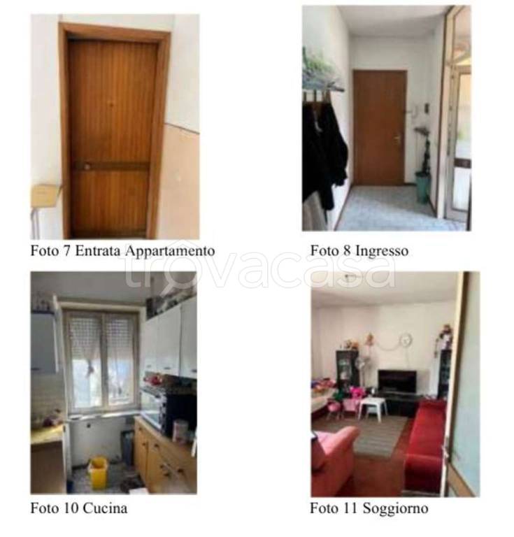 immagine annuncio 4 di 14