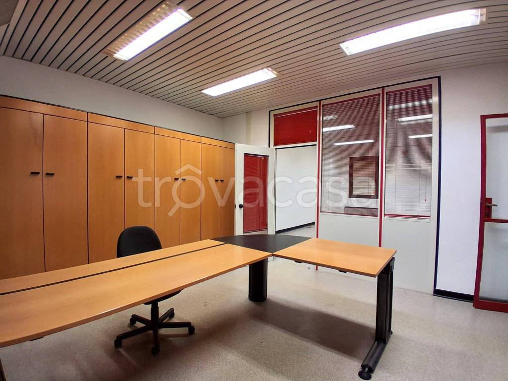 immagine annuncio 7 di 12