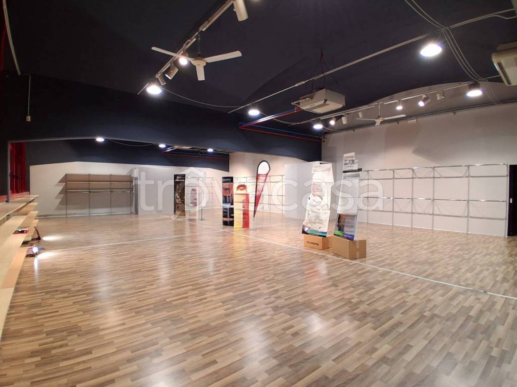 immagine annuncio 3 di 12