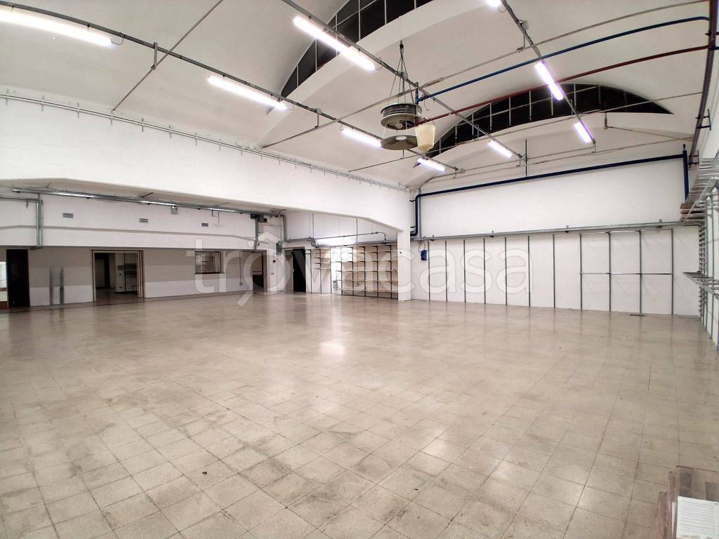 immagine annuncio 1 di 12