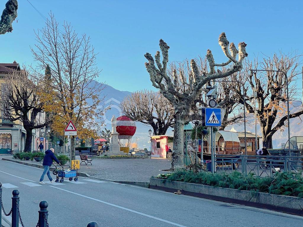 immagine annuncio 10 di 14