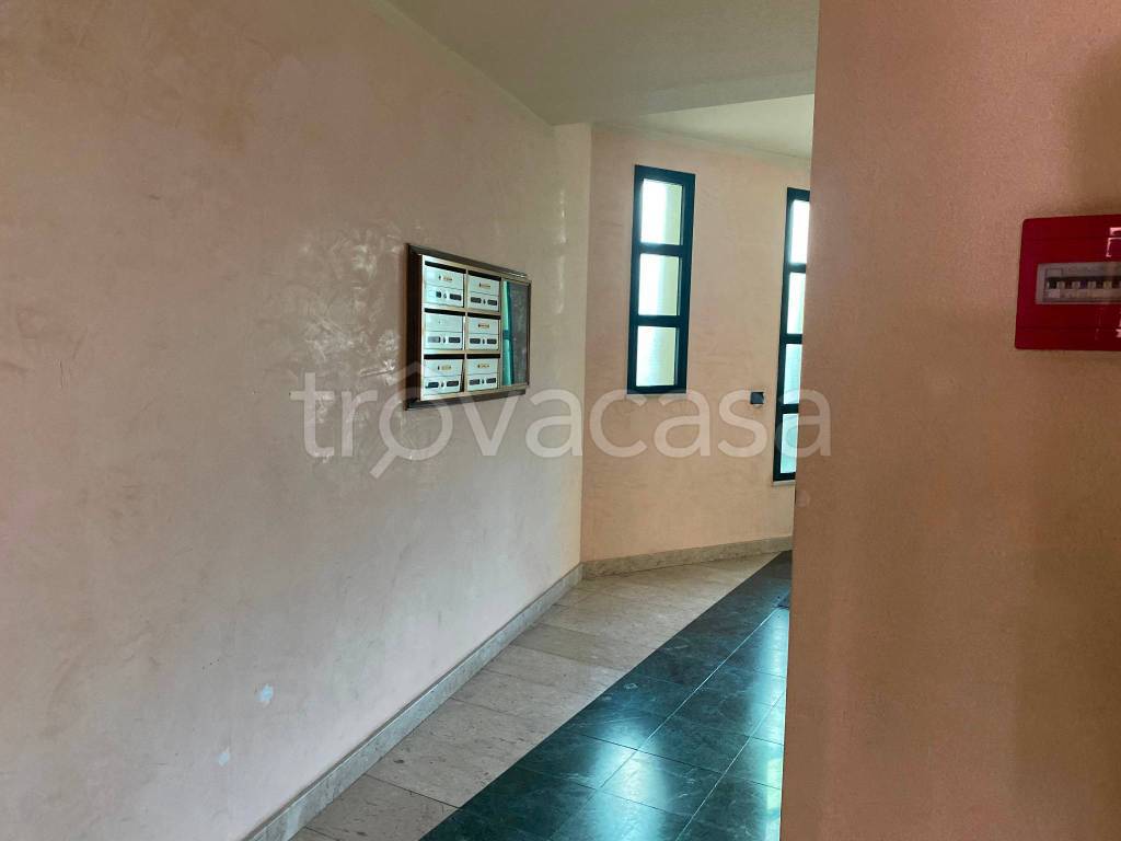 immagine annuncio 7 di 8