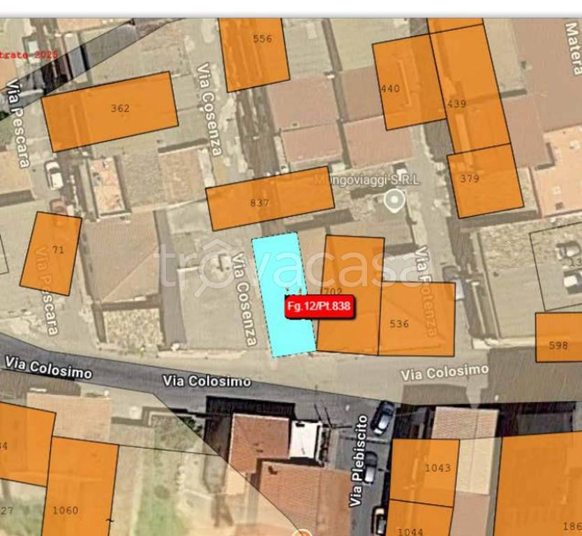 immagine annuncio 9 di 10