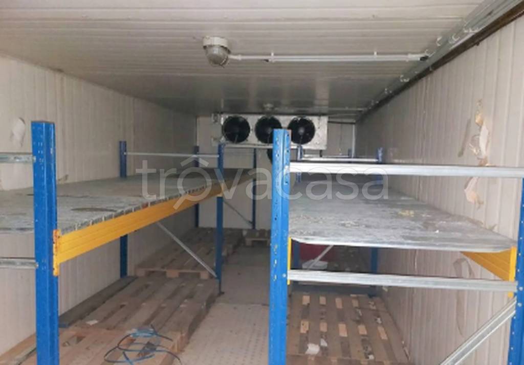 immagine annuncio 4 di 11