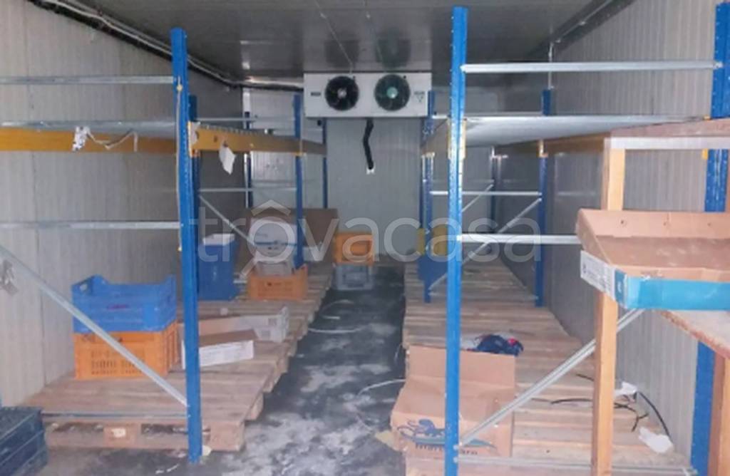 immagine annuncio 5 di 11