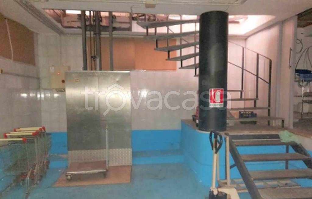 immagine annuncio 10 di 11