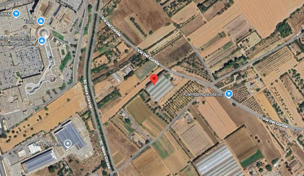 immagine annuncio 10 di 12