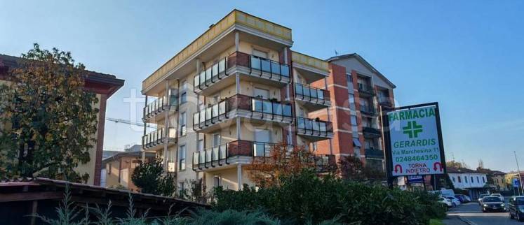 immagine annuncio 1 di 15