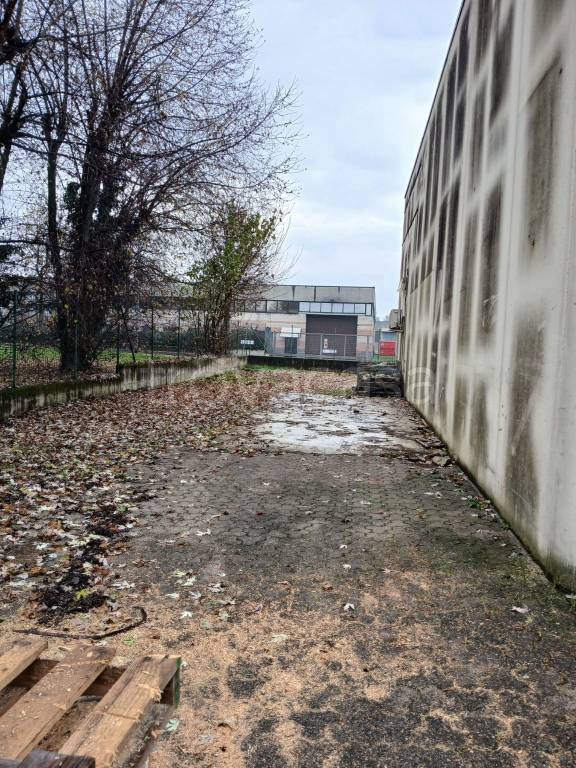 immagine annuncio 2 di 15