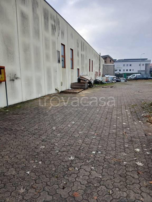 immagine annuncio 6 di 15