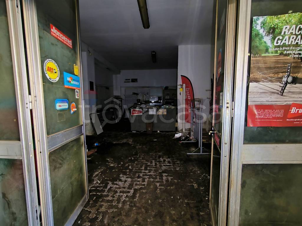 immagine annuncio 2 di 14