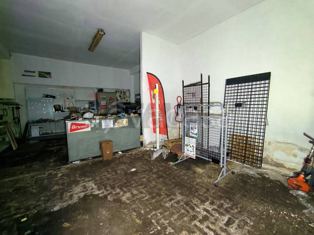 immagine annuncio 3 di 14