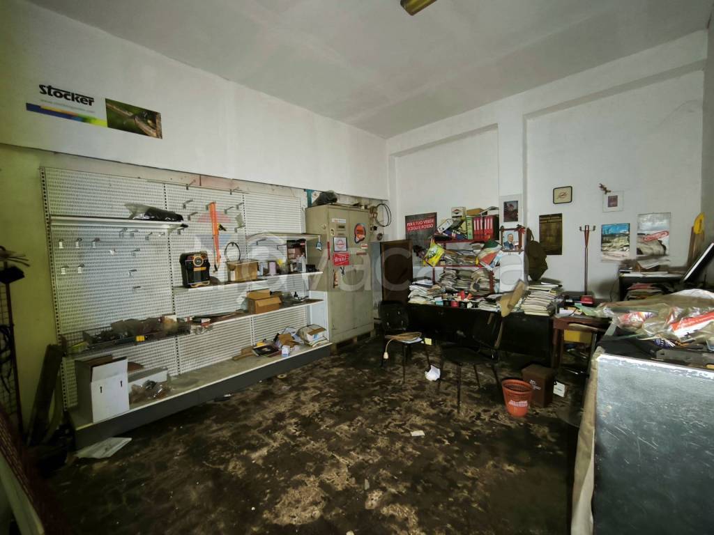 immagine annuncio 6 di 14