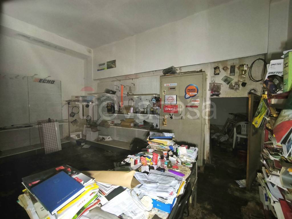 immagine annuncio 7 di 14