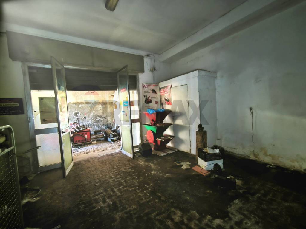 immagine annuncio 9 di 14