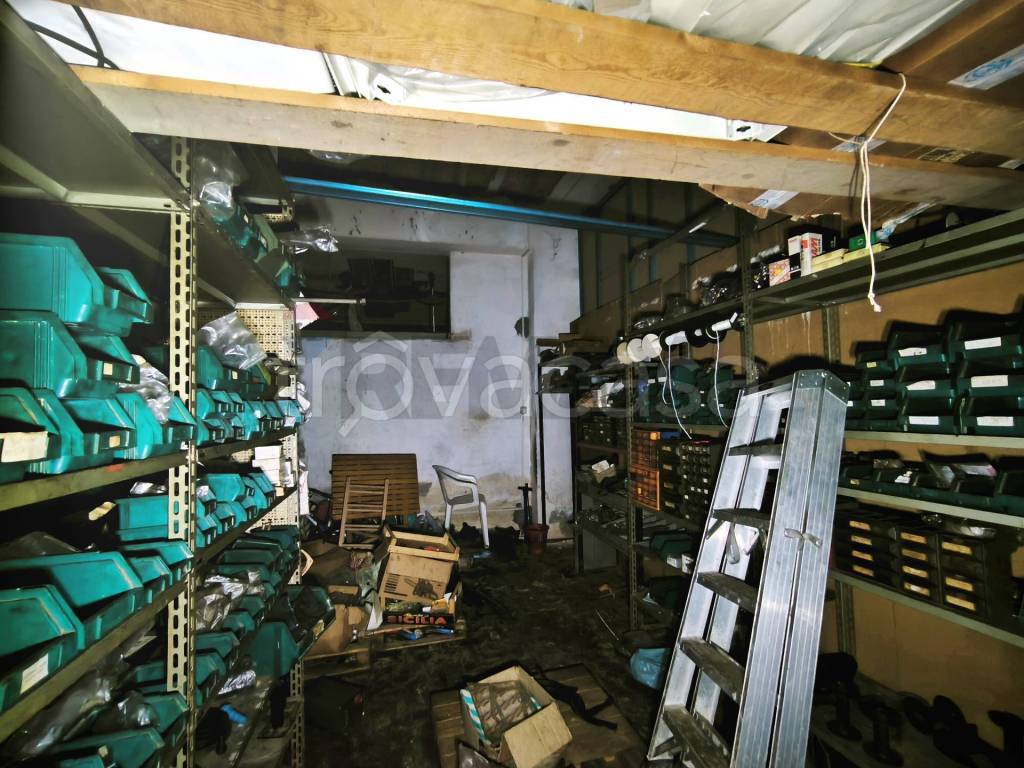 immagine annuncio 11 di 14