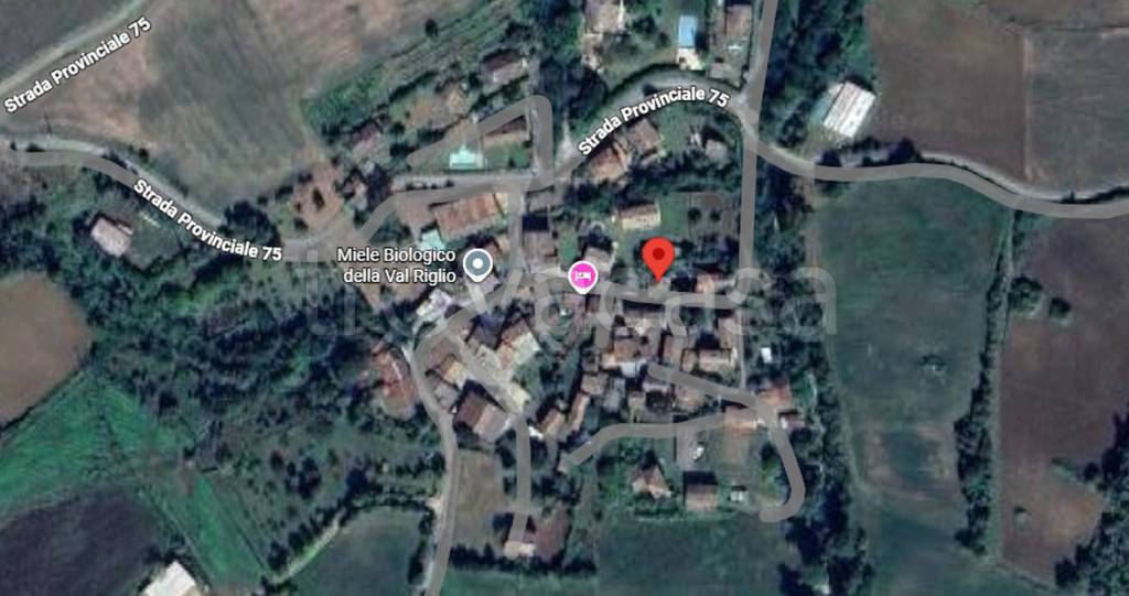 immagine annuncio 6 di 11