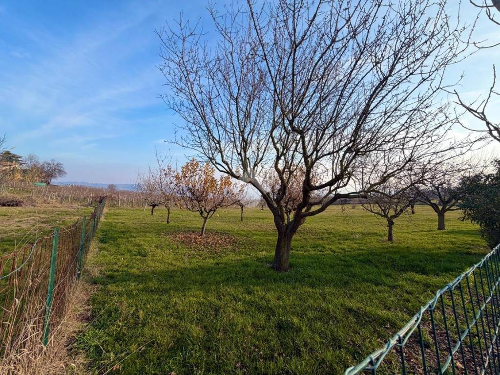 immagine annuncio 13 di 15