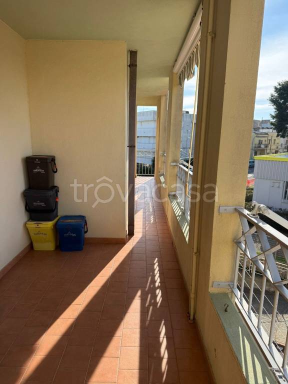 immagine annuncio 5 di 11