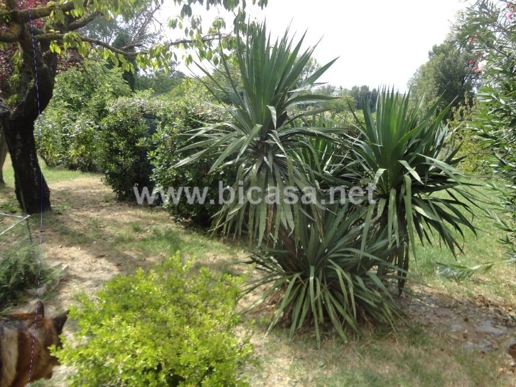 immagine annuncio 11 di 14