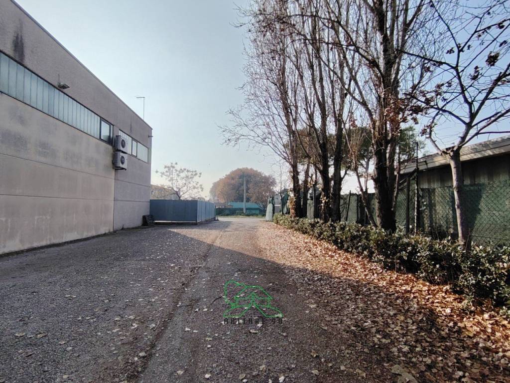 immagine annuncio 9 di 13