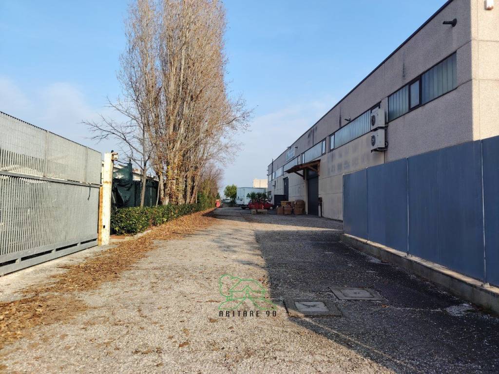 immagine annuncio 12 di 13