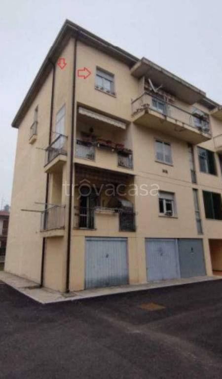 immagine annuncio 3 di 11