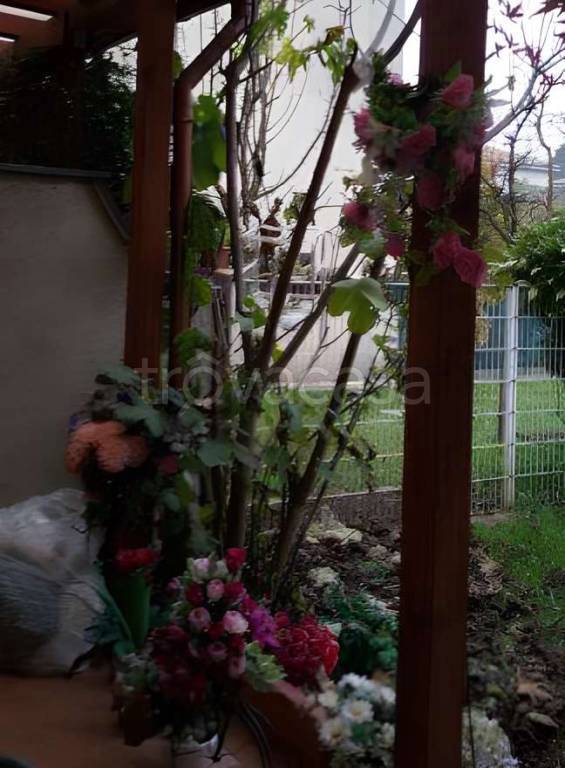 immagine annuncio 3 di 15