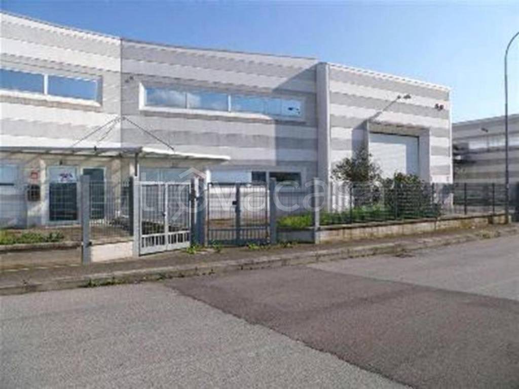 immagine annuncio 1 di 7