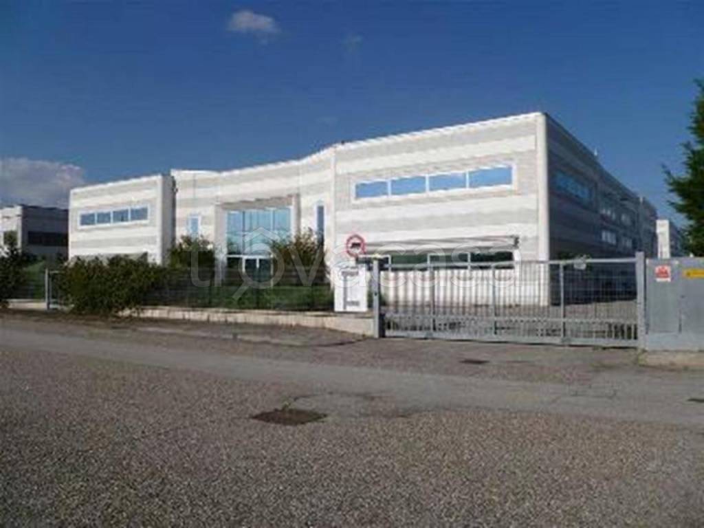 immagine annuncio 1 di 8