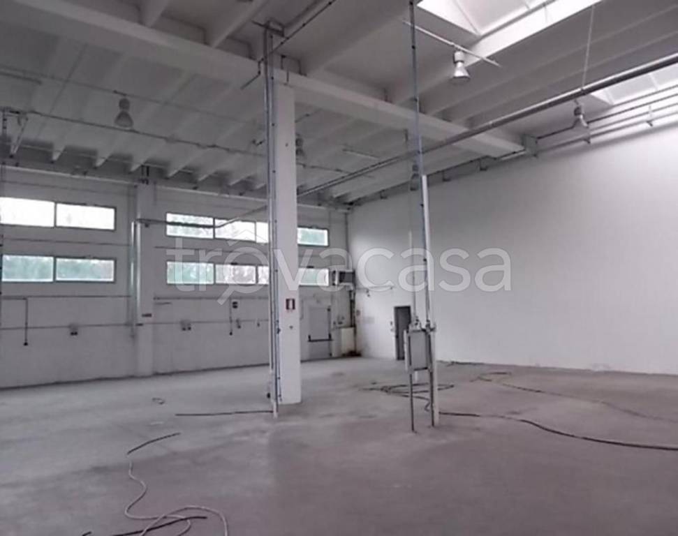 immagine annuncio 2 di 8