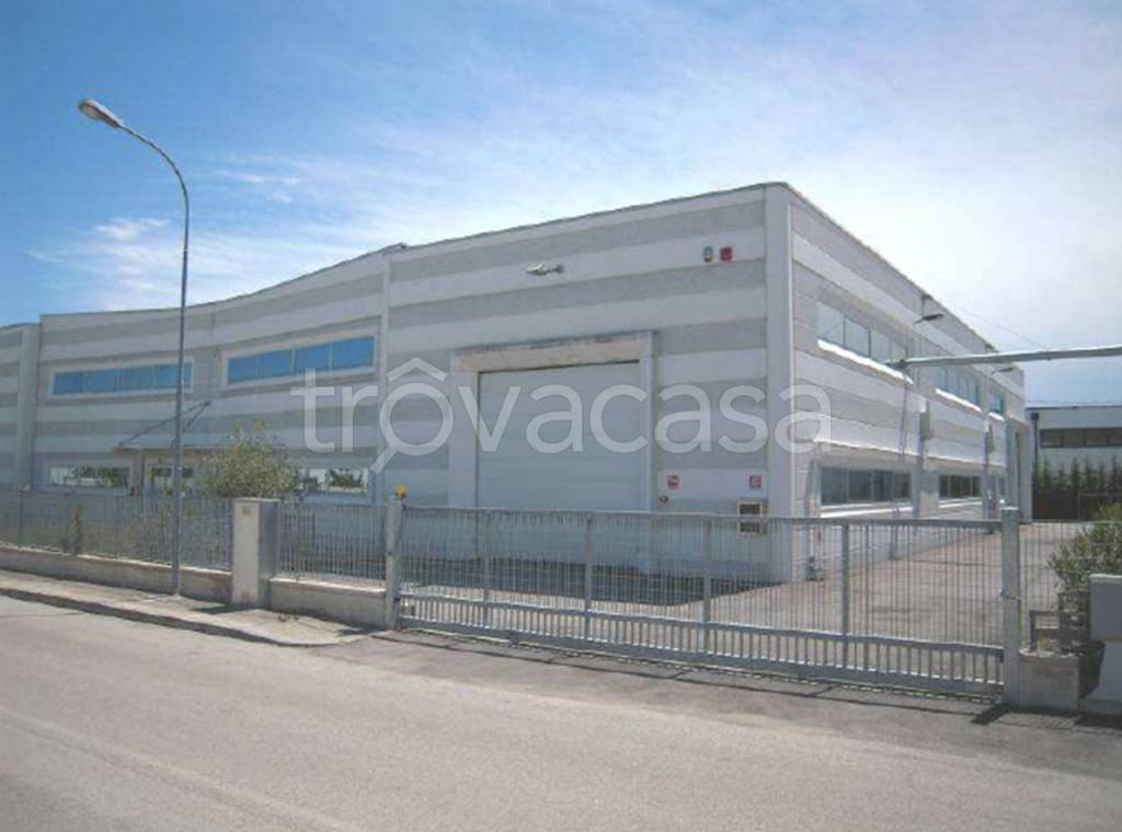 immagine annuncio 2 di 7