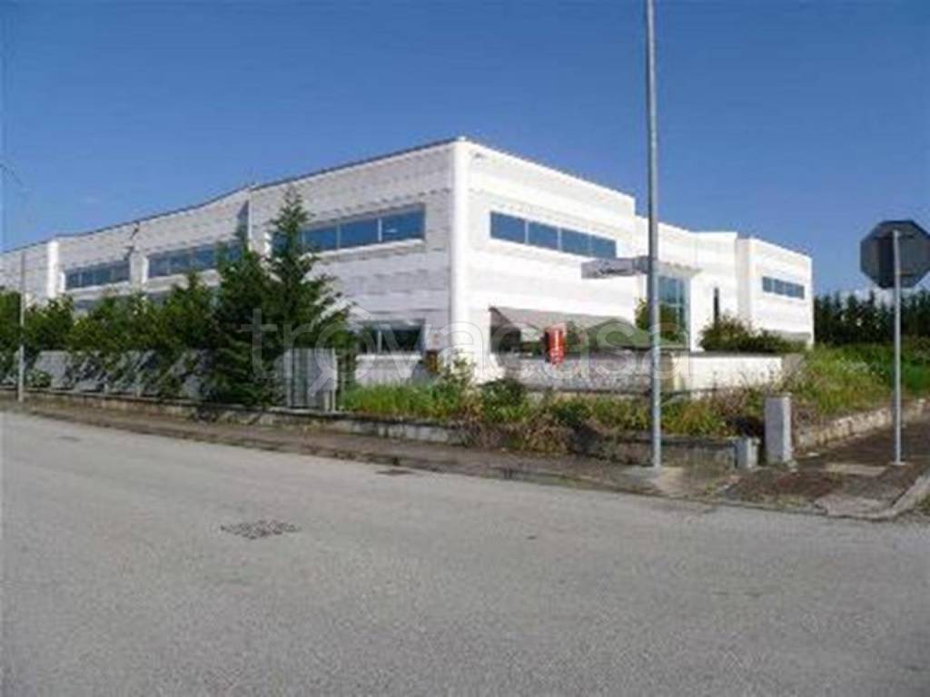 immagine annuncio 3 di 8