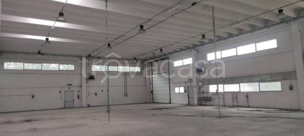 immagine annuncio 4 di 8