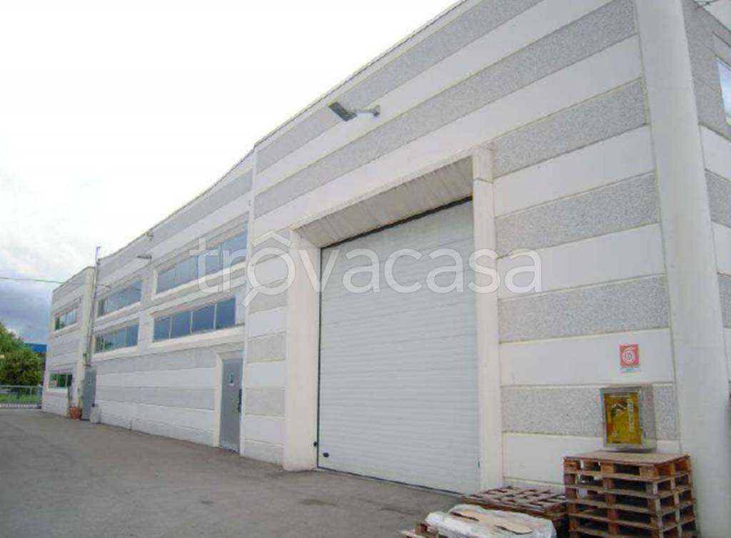 immagine annuncio 3 di 7