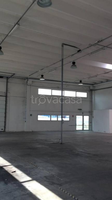 immagine annuncio 4 di 7